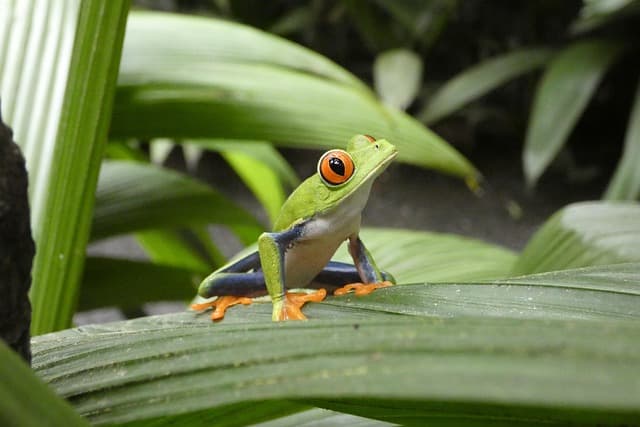 Costa Rica Adventure
