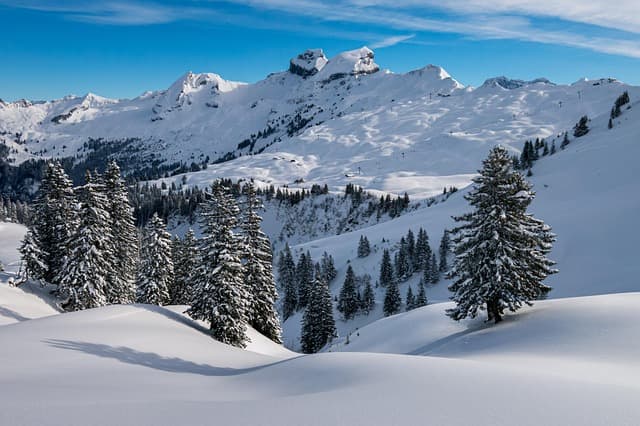 Swiss Alps Adventure